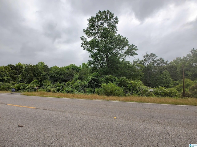3640 Logan Martin Dam Rd Unit 3640, Cropwell, AL 35054