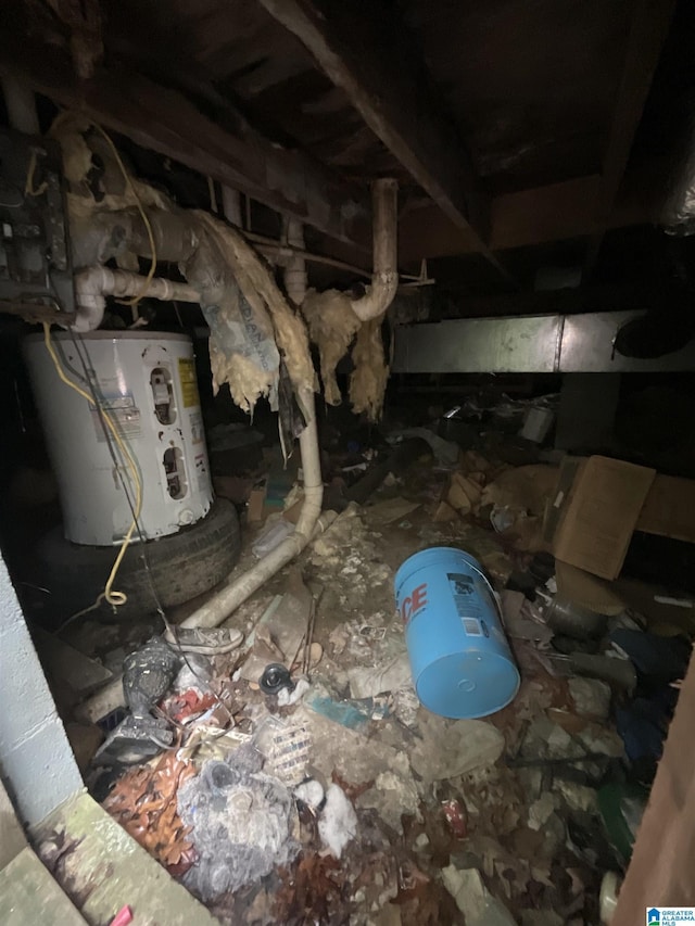 375 Little Dismal Rd, Arley, AL 35541 - inside crawl space featuring water heater