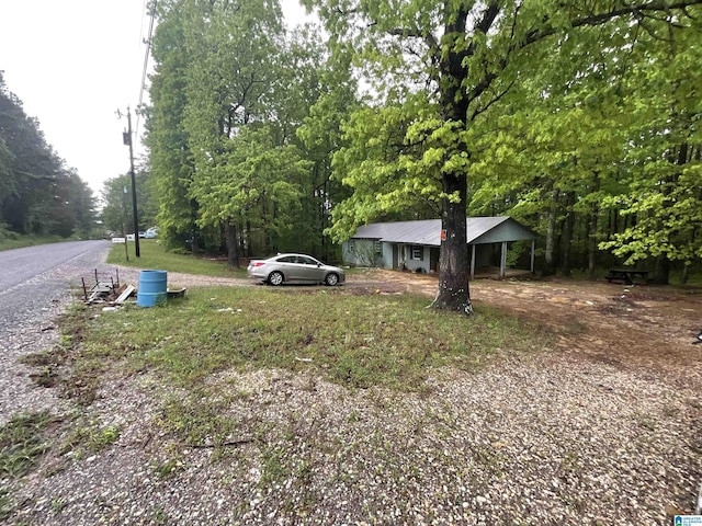 375 Little Dismal Rd, Arley, AL 35541 - view of yard with driveway