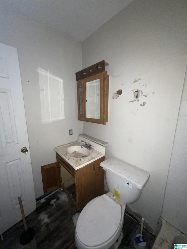 375 Little Dismal Rd, Arley, AL 35541 - bathroom featuring vanity and toilet