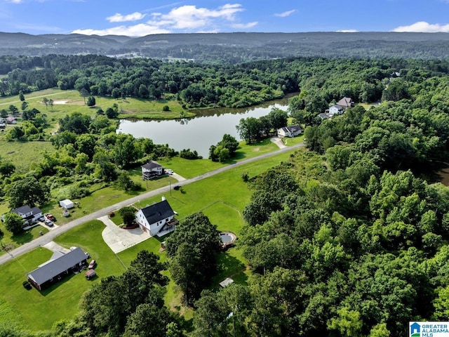 200 Shady Point Rd, Locust Fork, AL 35097 - aerial view of a forest and a nearby body of water