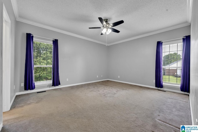 200 Shady Point Rd, Locust Fork, AL 35097 - carpeted empty room featuring healthy amount of natural light, crown molding, a textured ceiling, a ceiling fan, and baseboards