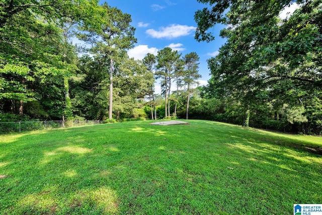 200 Shady Point Rd, Locust Fork, AL 35097 - view of yard