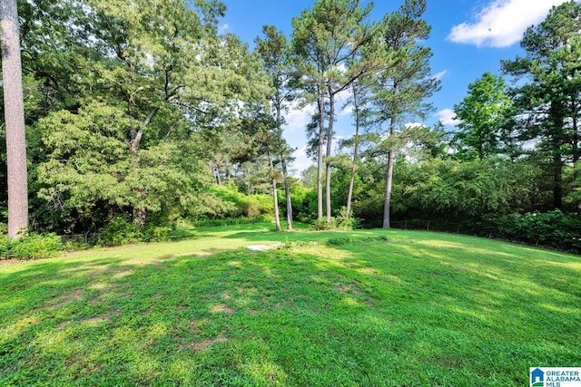 200 Shady Point Rd, Locust Fork, AL 35097 - view of grassy yard