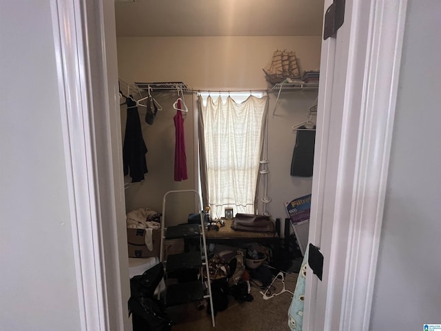 796 Michelle Mnr, Montevallo, AL 35115 - view of walk in closet