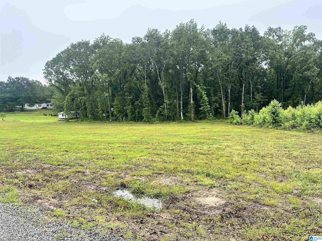 0 Ward School Rd Unit 1, Centreville, AL 35042