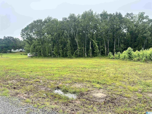0 Ward School Rd Unit 1, Centreville, AL 35042