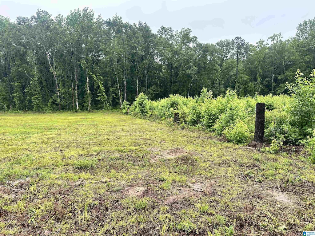 0 Ward School Rd Unit 1, Centreville, AL 35042