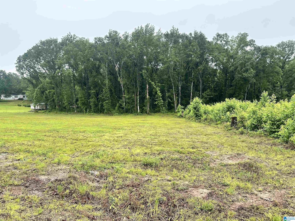 0 Ward School Rd Unit 1, Centreville, AL 35042