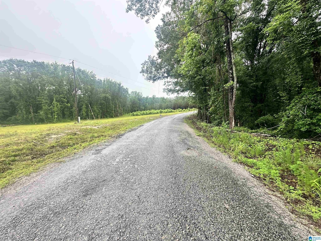 0 Ward School Rd Unit 1, Centreville, AL 35042