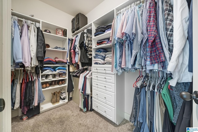 1037 Norman Way, Birmingham, AL 35242 - spacious closet featuring carpet