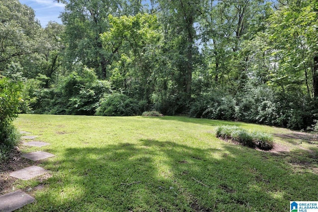 5420 Pine St, Sylvan Springs, AL 35118 - view of green lawn featuring a view of trees
