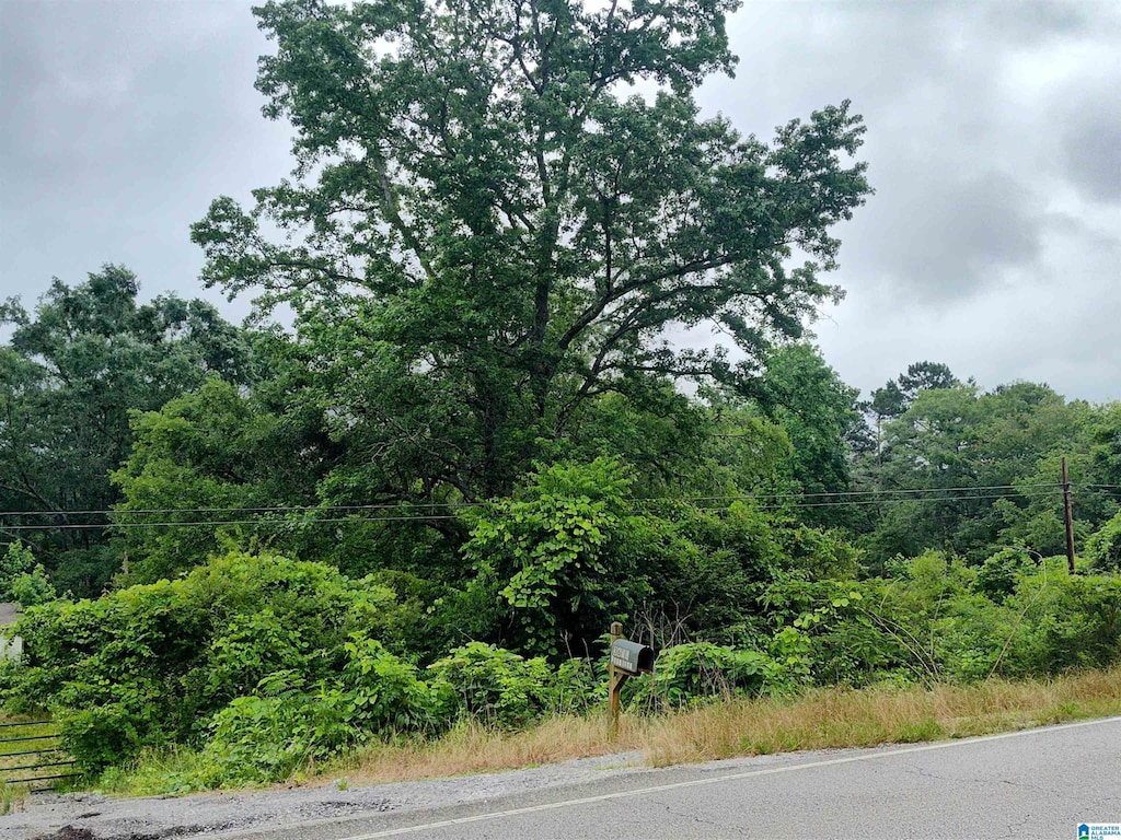 12 River Bend Cir Unit 12, Talladega, AL 35160