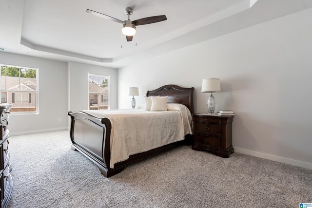 119 Polo Downs, Chelsea, AL 35043 - bedroom with a tray ceiling, carpet flooring, and baseboards