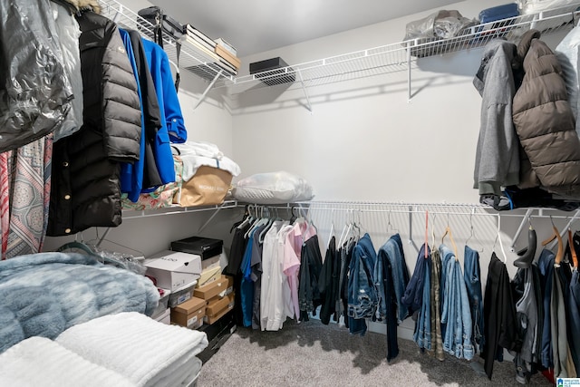 119 Polo Downs, Chelsea, AL 35043 - walk in closet featuring carpet