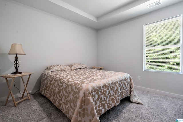 119 Polo Downs, Chelsea, AL 35043 - carpeted bedroom featuring baseboards