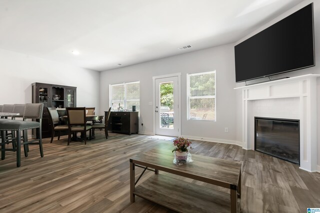119 Polo Downs, Chelsea, AL 35043 - living room featuring plenty of natural light, wood finished floors, and a brick fireplace