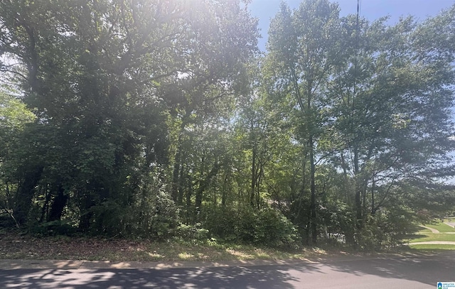 1901 Chandabrook Dr Unit 15A, Pelham, AL 35124