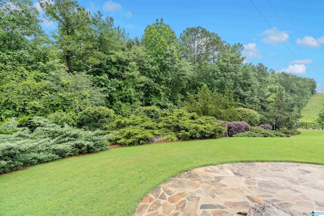 5265 Lake Crest Cir, Hoover, AL 35226 - view of grassy yard featuring a patio
