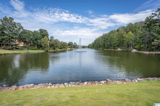 5265 Lake Crest Cir, Hoover, AL 35226 - water view