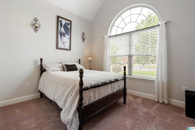 3096 Hidden Forest Cv, Montevallo, AL 35115 - carpeted bedroom with lofted ceiling and baseboards