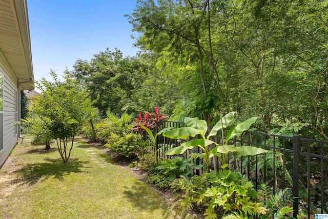 3096 Hidden Forest Cv, Montevallo, AL 35115 - view of yard