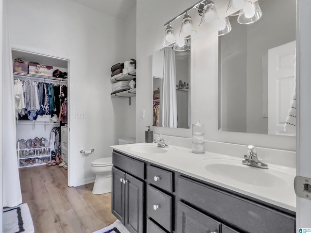 156 Brook Highland Cv, Birmingham, AL 35242 - bathroom with double vanity, a walk in closet, wood finished floors, and toilet