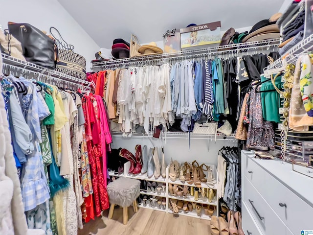 156 Brook Highland Cv, Birmingham, AL 35242 - spacious closet with wood finished floors and vaulted ceiling