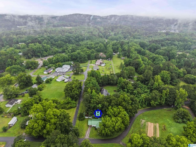 315 3rd Ave, Odenville, AL 35120 - bird's eye view of a mountain backdrop and a forest