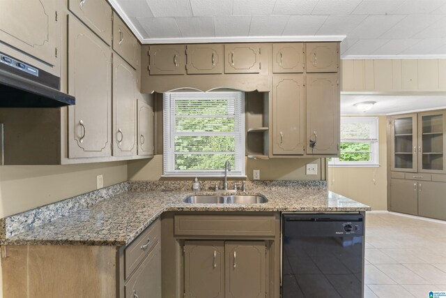 315 3rd Ave, Odenville, AL 35120 - kitchen featuring dishwasher, a sink, under cabinet range hood, light tile patterned floors, and light stone counters