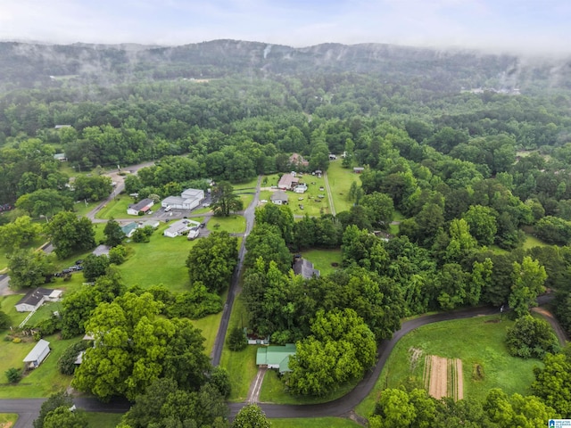 315 3rd Ave, Odenville, AL 35120 - drone / aerial view of mountains and a forest