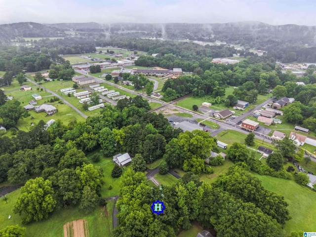315 3rd Ave, Odenville, AL 35120 - bird's eye view of mountains
