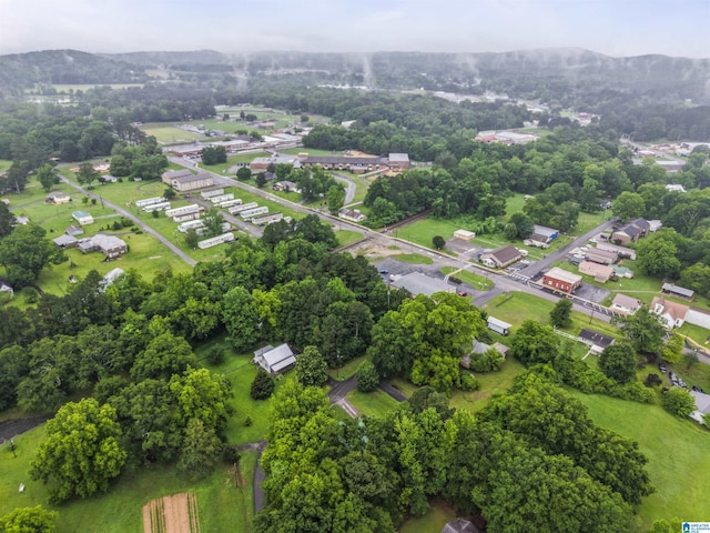 315 3rd Ave, Odenville, AL 35120 - bird's eye view of a mountain backdrop