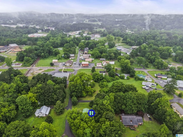 315 3rd Ave, Odenville, AL 35120 - aerial view of a mountainous background