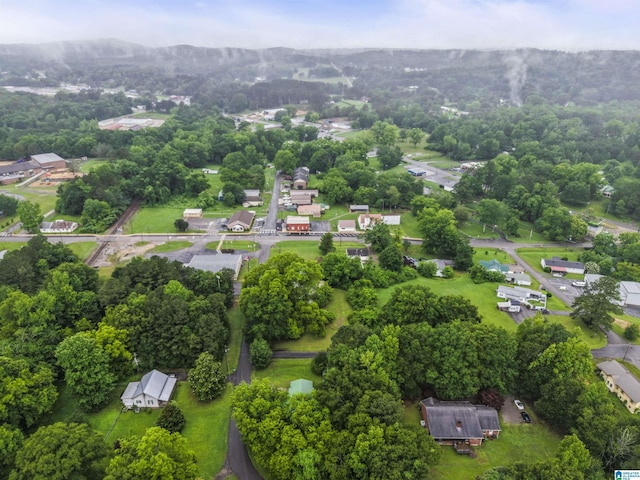 315 3rd Ave, Odenville, AL 35120 - aerial view of a mountainous background