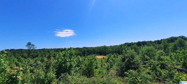 0 Laska Dr Unit 20Acres, Wedowee, AL 36278