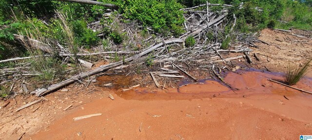 0 Laska Dr Unit 20Acres, Wedowee, AL 36278