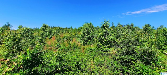 0 Laska Dr Unit 20Acres, Wedowee, AL 36278