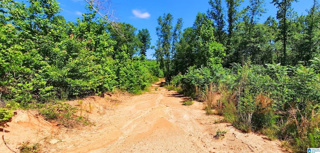 0 Laska Dr Unit 20Acres, Wedowee, AL 36278