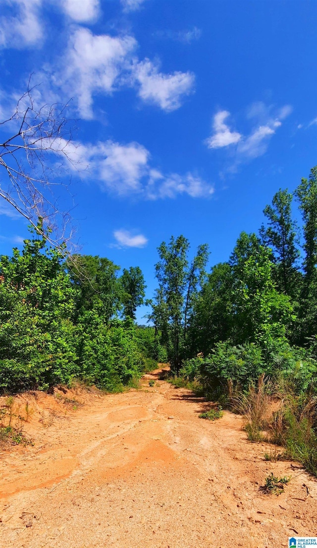 0 Laska Dr Unit 20Acres, Wedowee, AL 36278
