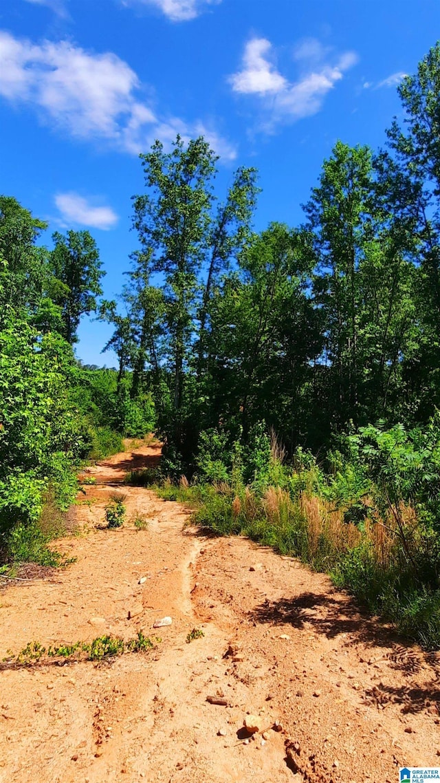 0 Laska Dr Unit 20Acres, Wedowee, AL 36278