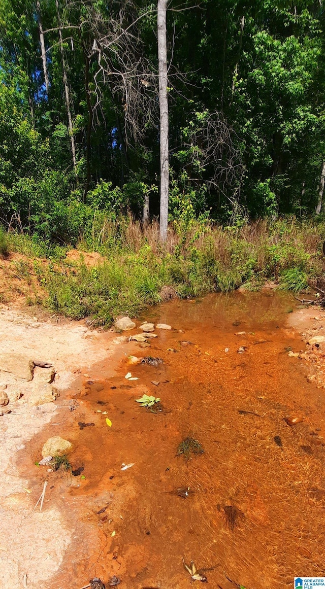 0 Laska Dr Unit 20Acres, Wedowee, AL 36278