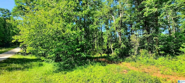0 Laska Dr Unit 20Acres, Wedowee, AL 36278