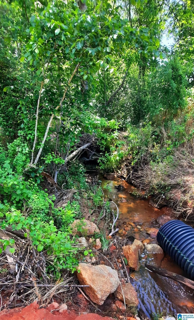 0 Laska Dr Unit 20Acres, Wedowee, AL 36278