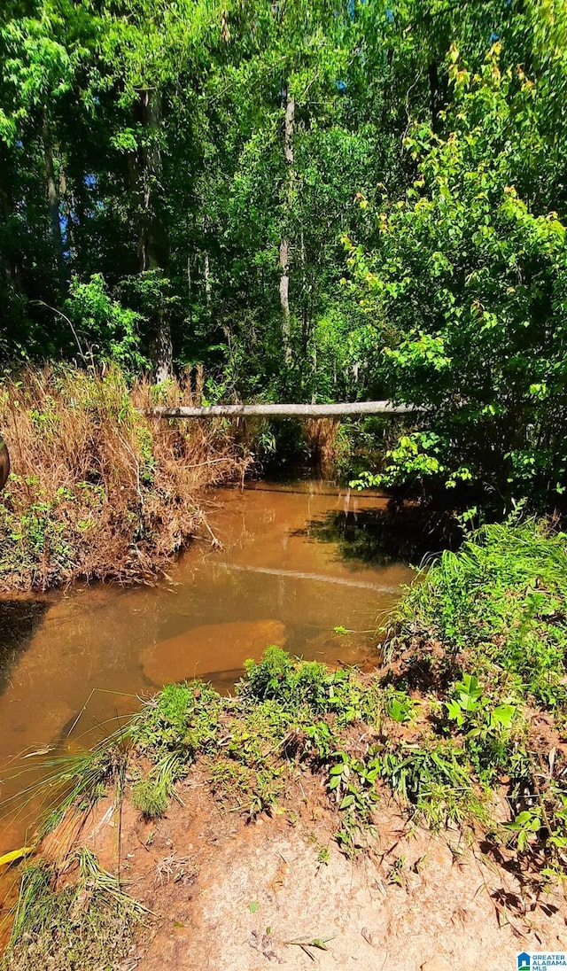 0 Laska Dr Unit 20Acres, Wedowee, AL 36278