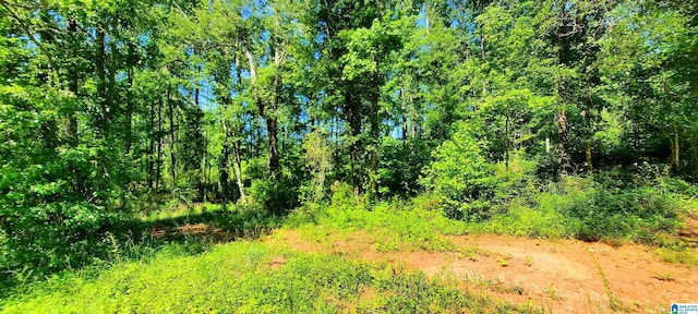0 Laska Dr Unit 20Acres, Wedowee, AL 36278