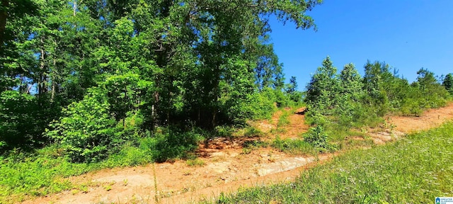 0 Laska Dr Unit 20Acres, Wedowee, AL 36278