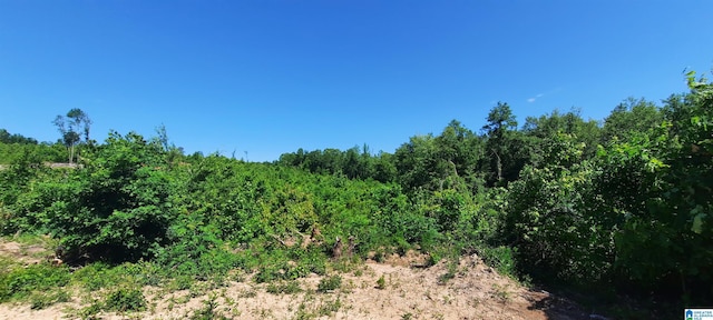 0 Laska Dr Unit 20Acres, Wedowee, AL 36278