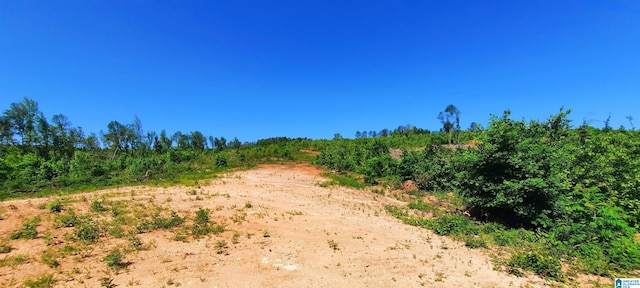 0 Laska Dr Unit 20Acres, Wedowee, AL 36278