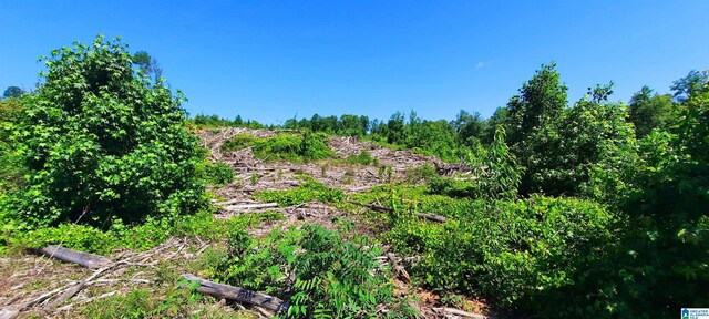 0 Laska Dr Unit 20Acres, Wedowee, AL 36278